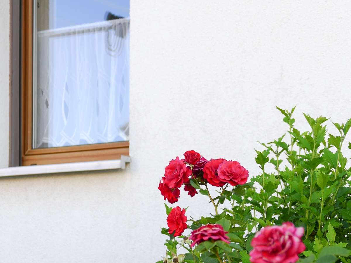 Viel Platz für Ihre Wohnideen – Charmantes Wohnhaus mit Nebengebäuden in Greiz-Pohlitz (Wohnen - Kaufen) in Greiz
