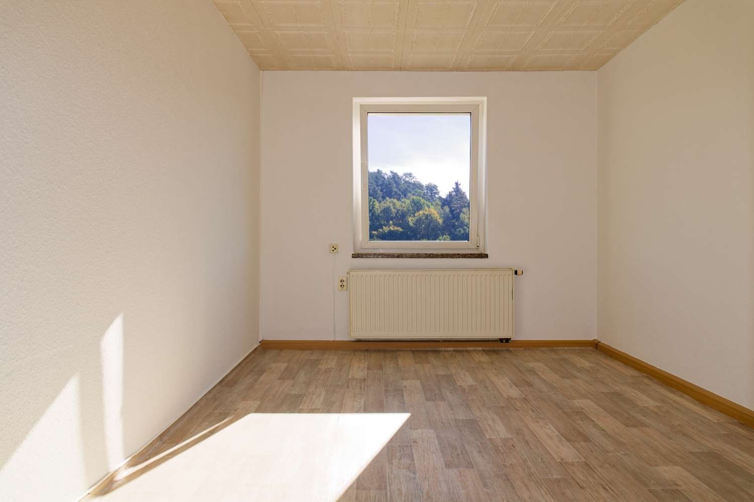Ländlich Wohnen mit Blick ins Grüne (Wohnen - Mieten oder Pachten) in Greiz